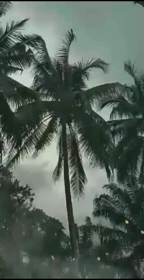 @Nazemi6534