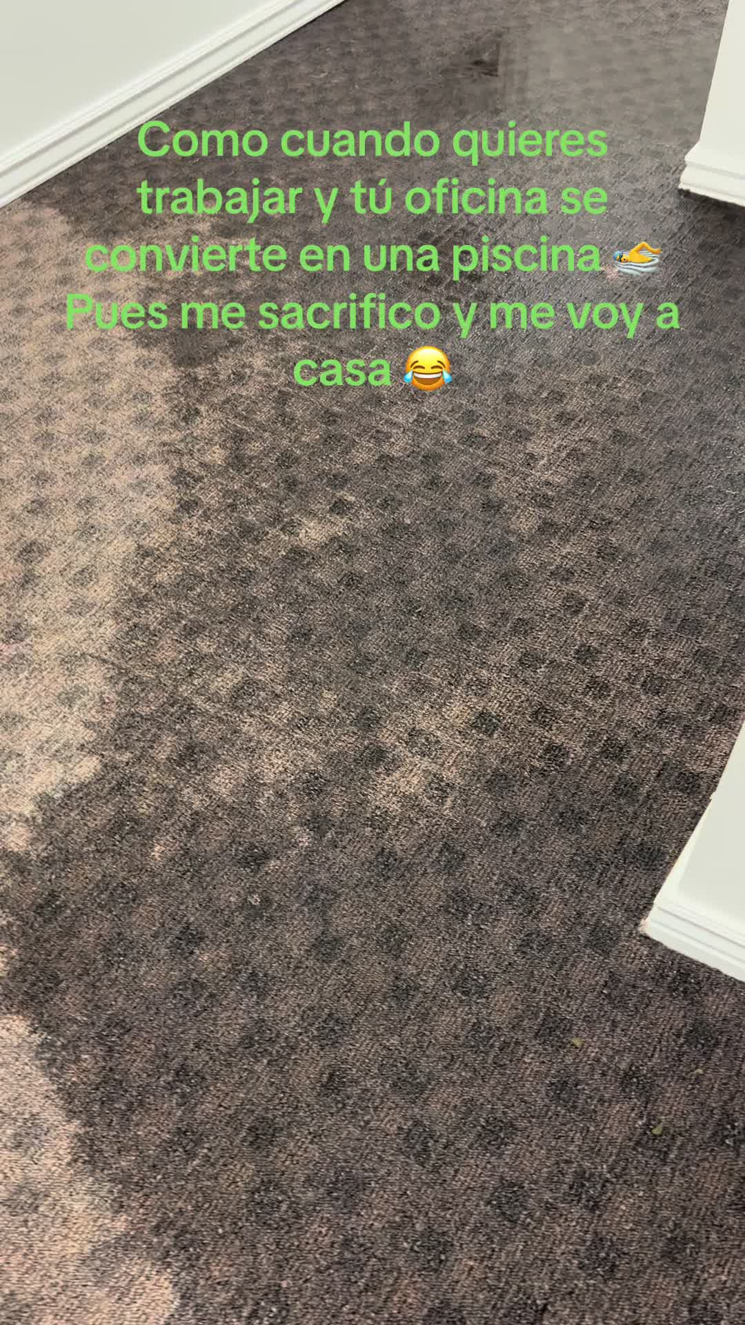 @Cris Guido