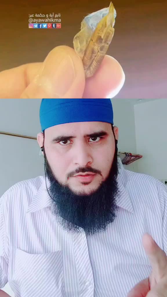 @𝙄𝙣𝙖𝙖𝙢𝙪𝙡 𝙝𝙖𝙦𝙪𝙚 ☑️