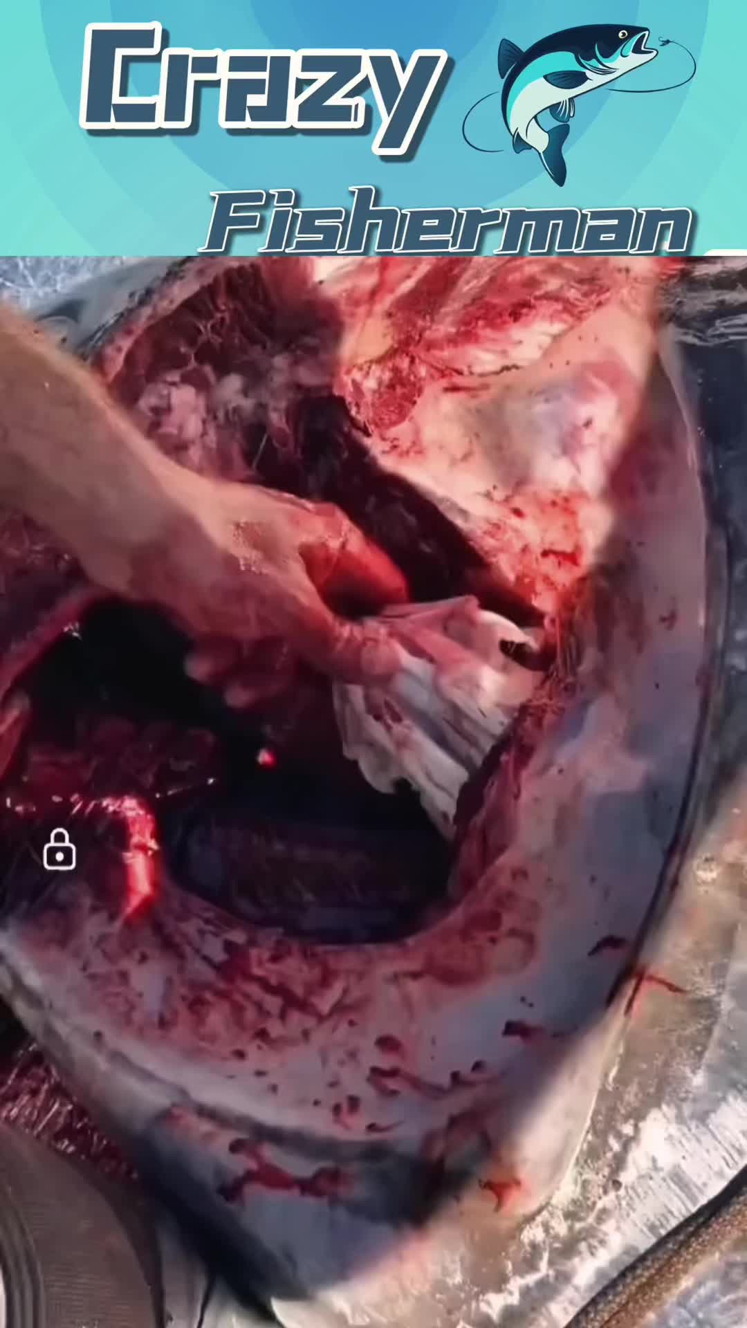 @Crazy Fisherman