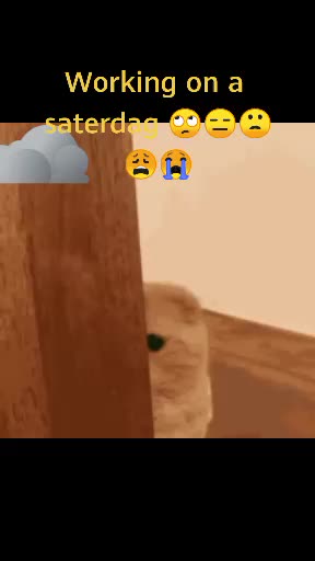 @Popmuis