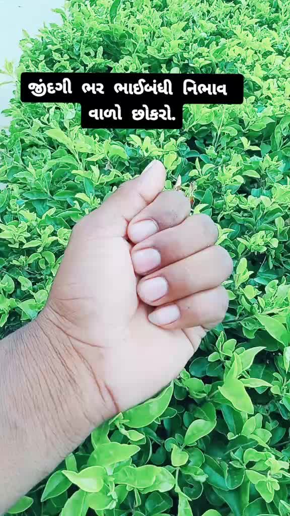 @Sunil Sodha