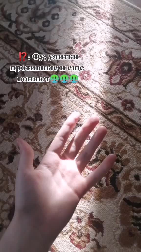 @Улиточки🐌💞
