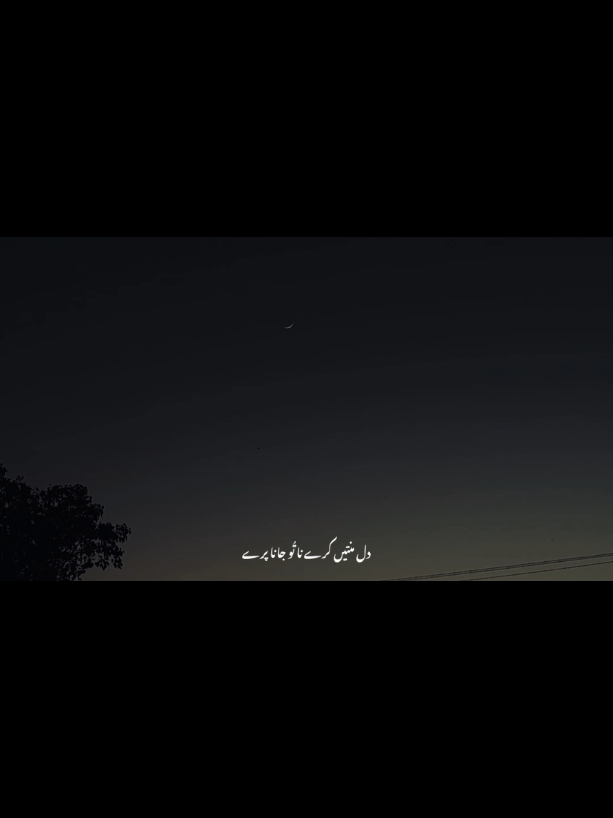 @Maryam Awan ♡