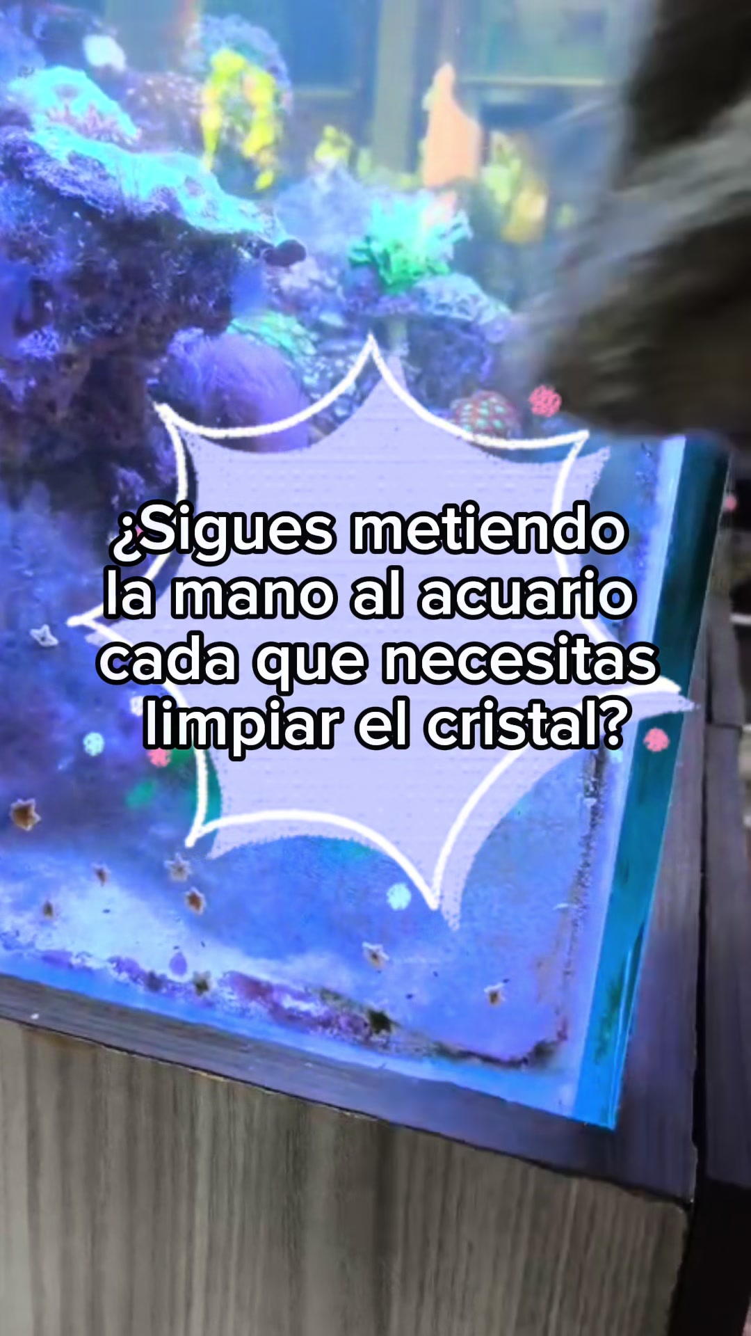 @Acuario Fish Lovers