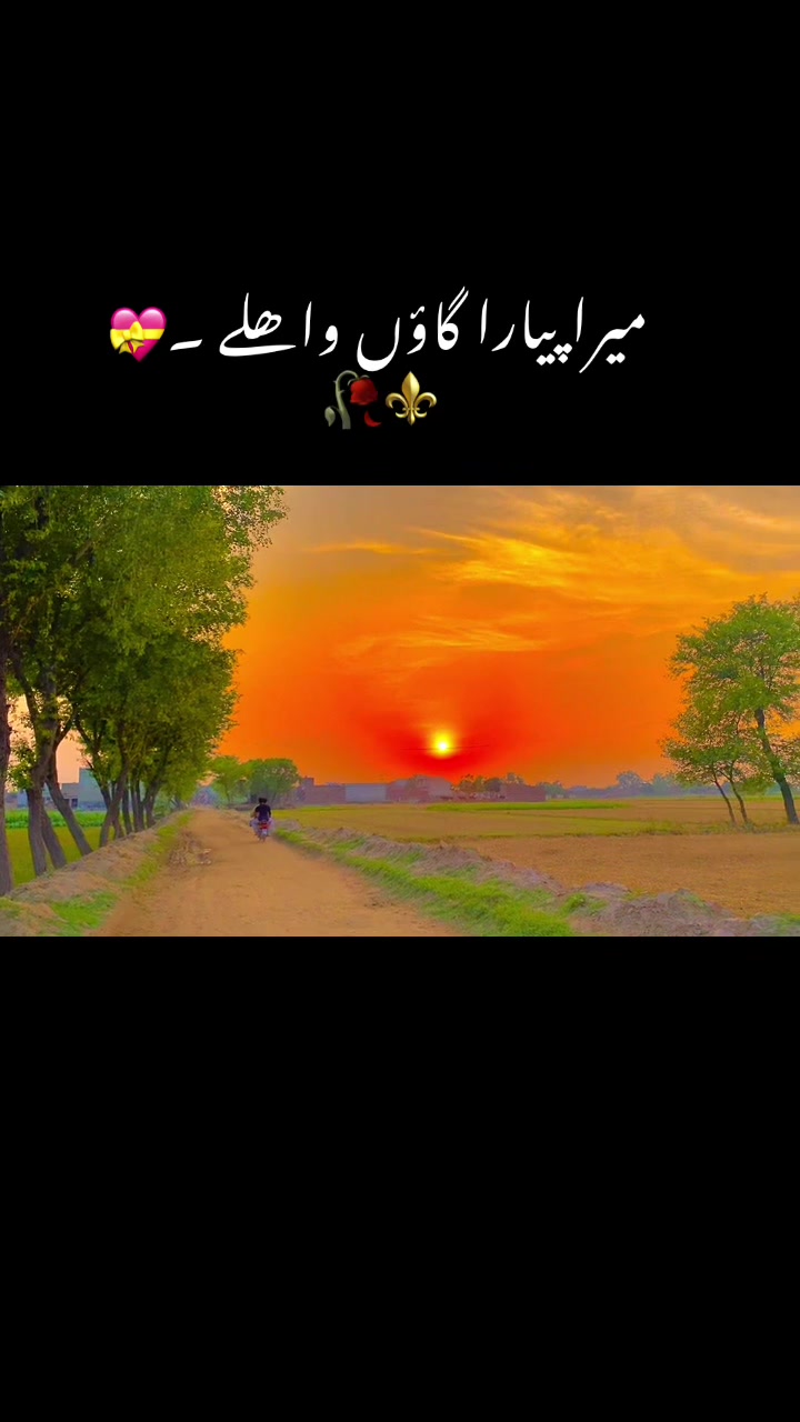 @⚜️عماد۔!۔واھلہ⚜️