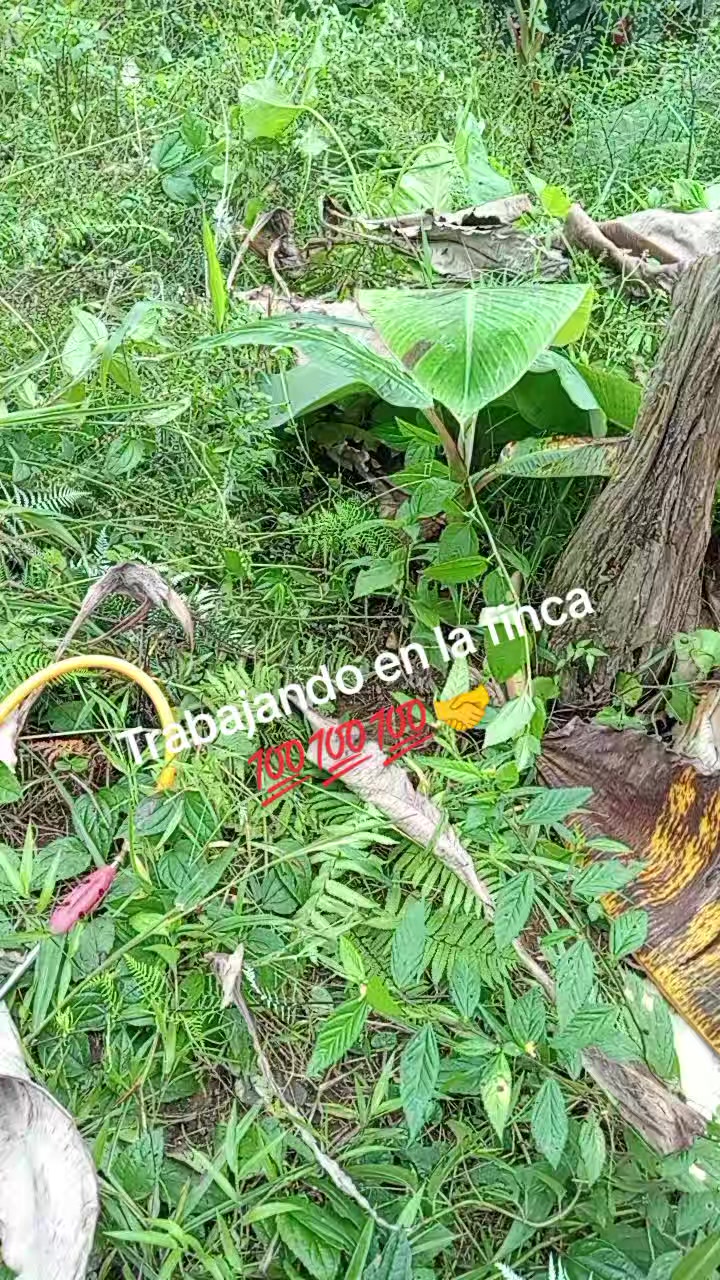 @@🥰Poaquiza💞Angel,💌🫶🤙❤️👈.