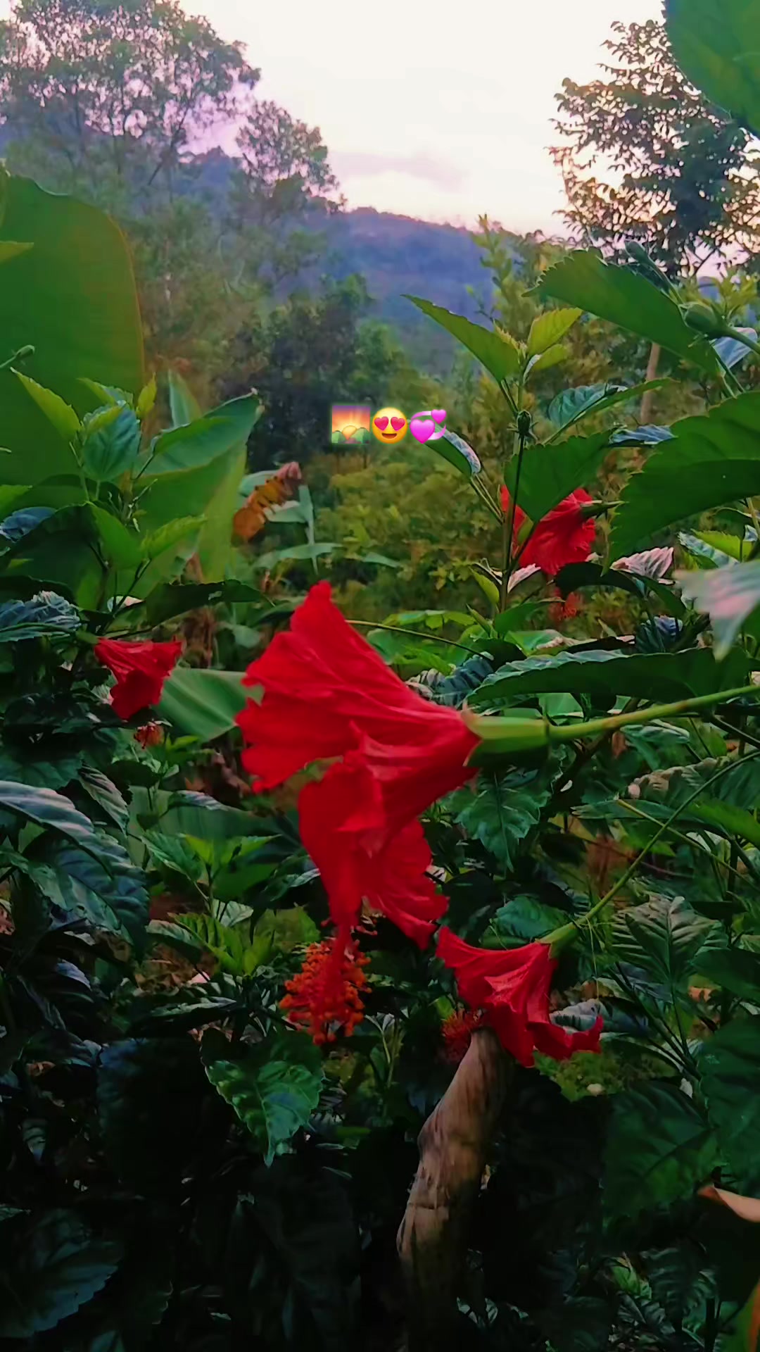 @💯♡♤Maczita♤♡🥰🔥