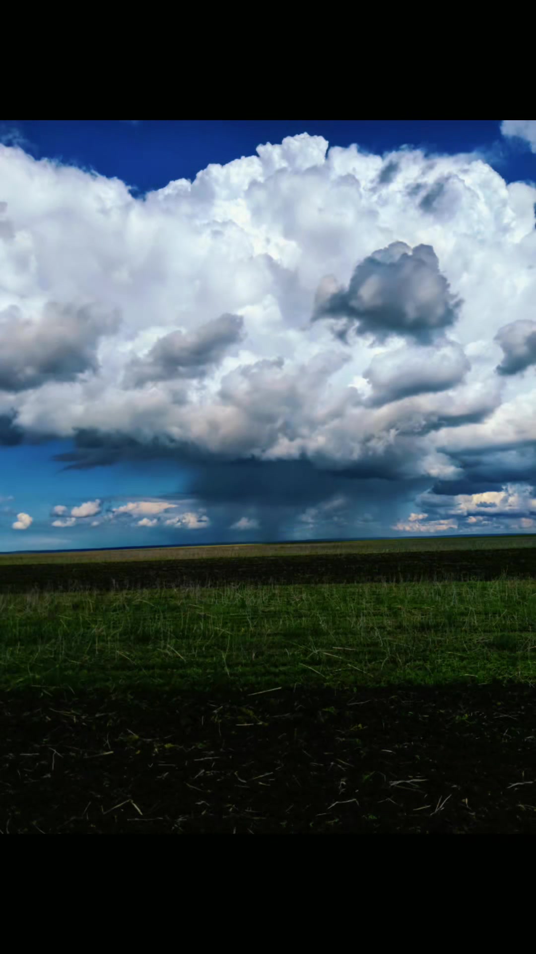 @Александр