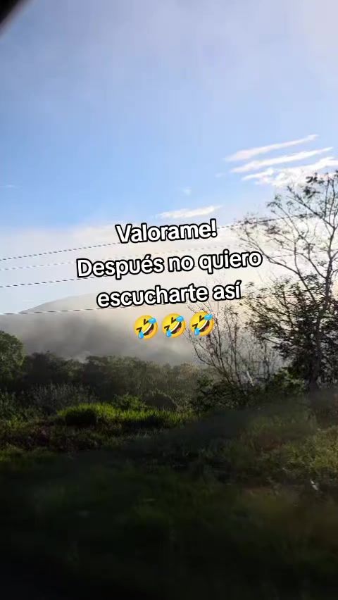 @♍ 23/08✨🦋🌴👠
