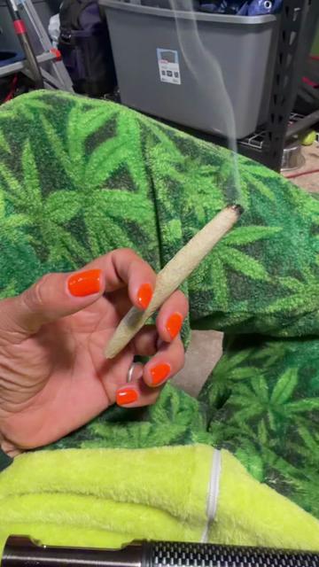 @WestCoastDaisy🌴🌼
