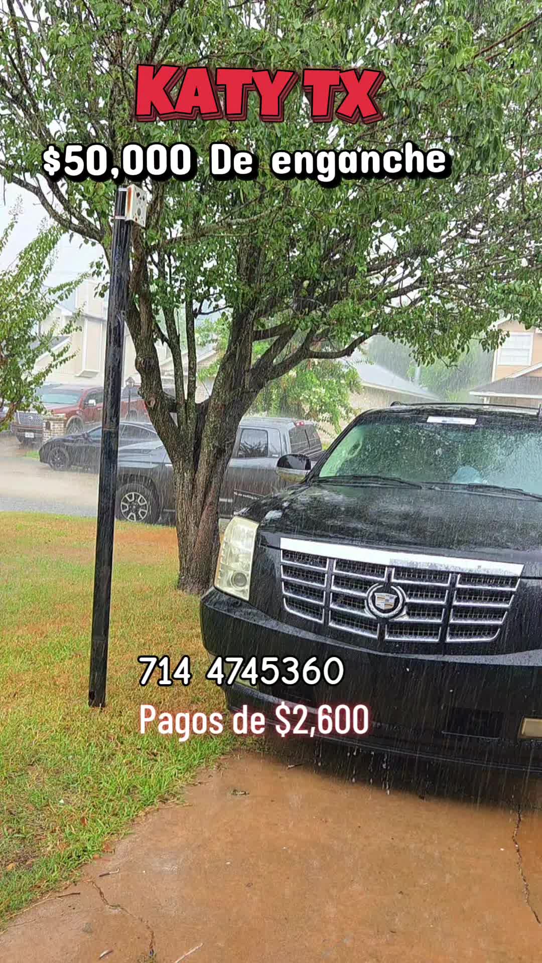@Frank Flores