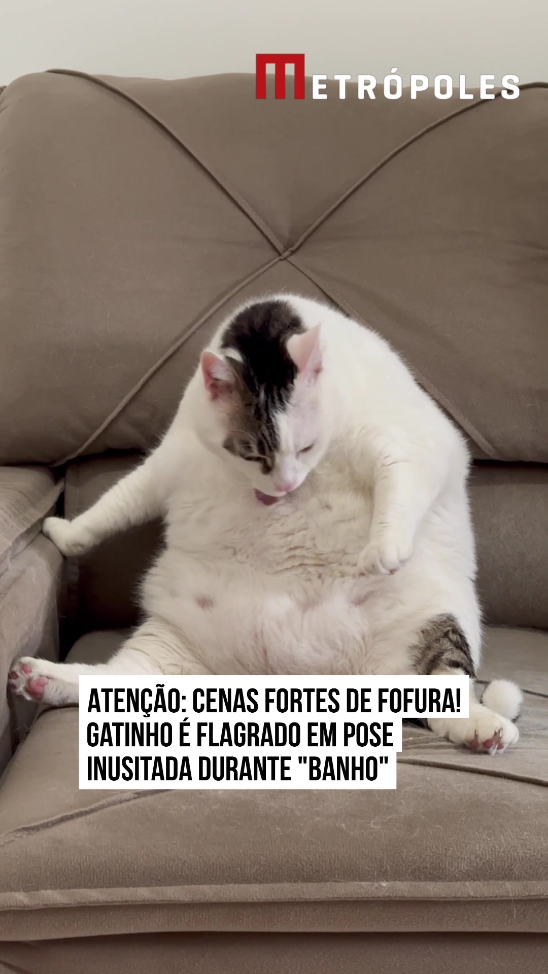 @Metr&oacute;poles Oficial