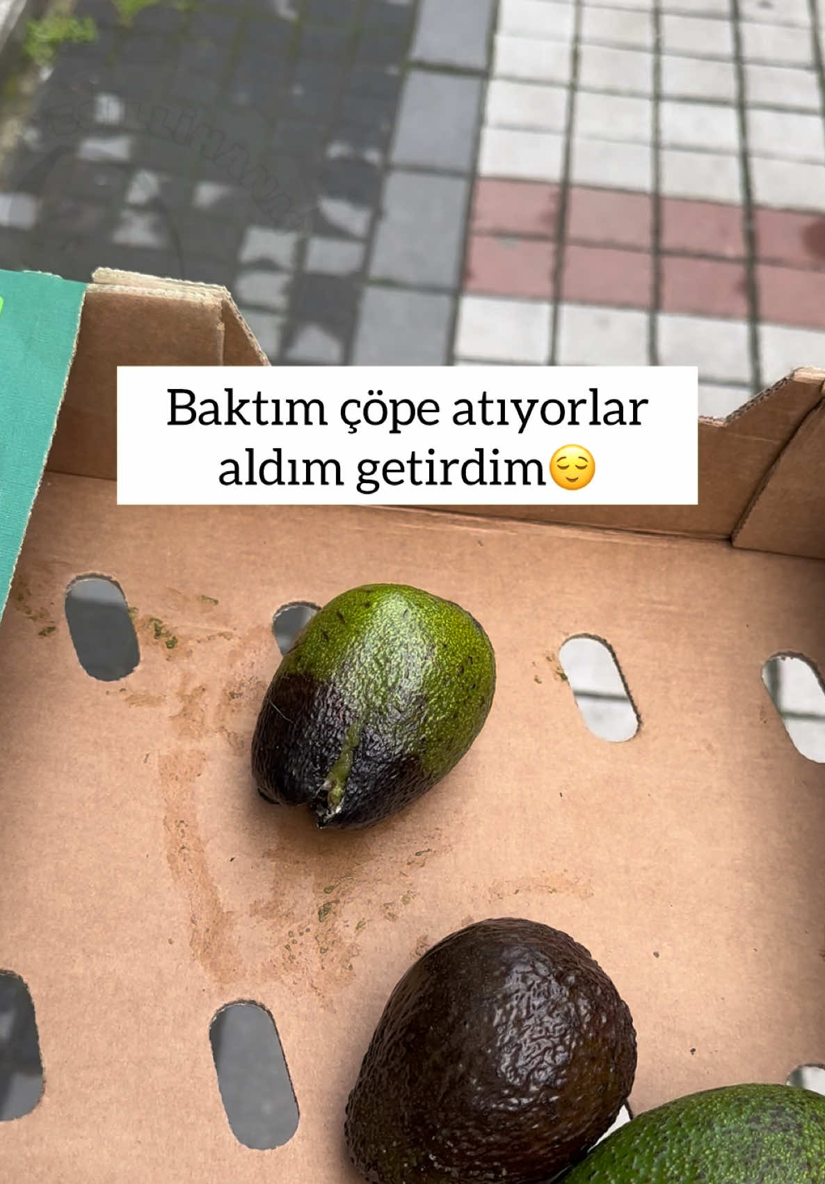 @yesillihanm