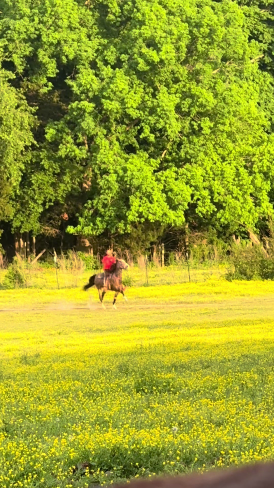 @CJ🧑🏽🌾
