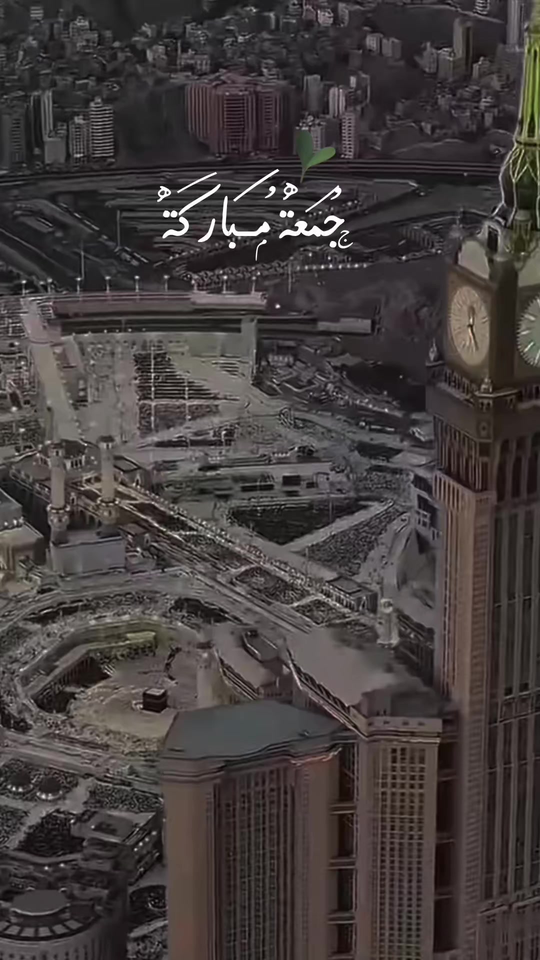 @OM Zahreldin