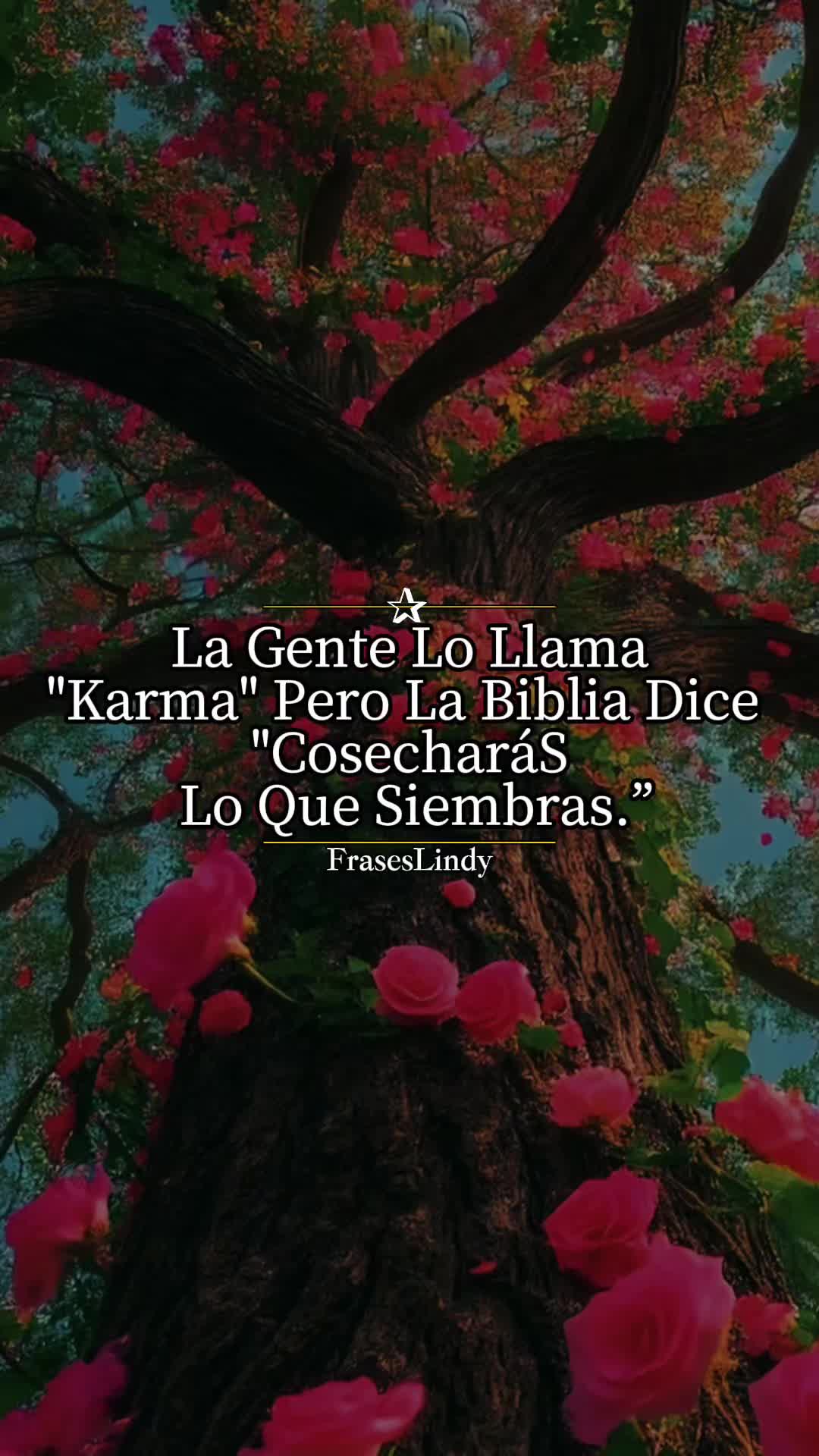 @Maribel 🌻