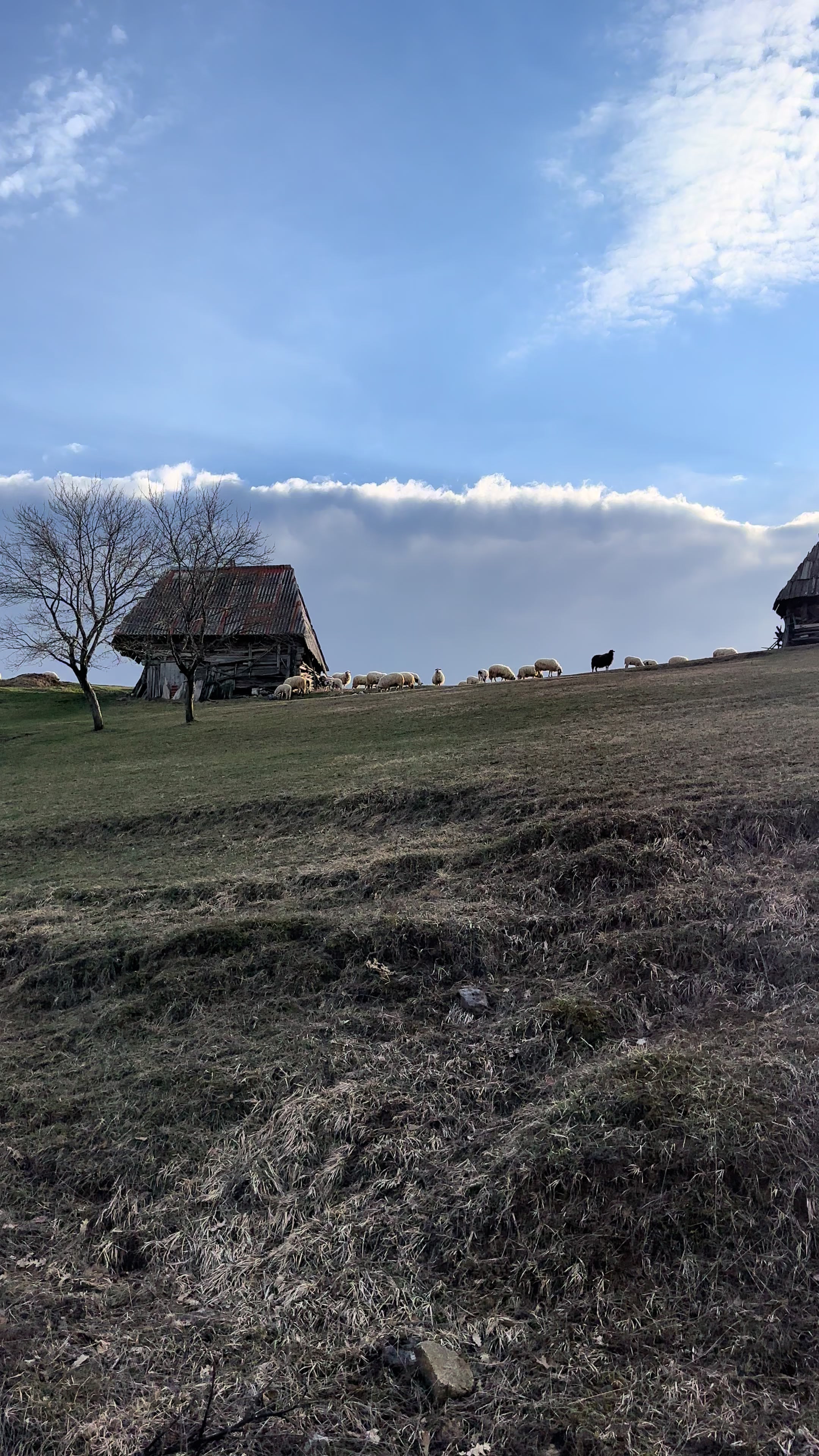 @Ријека Челебићи завичај💚