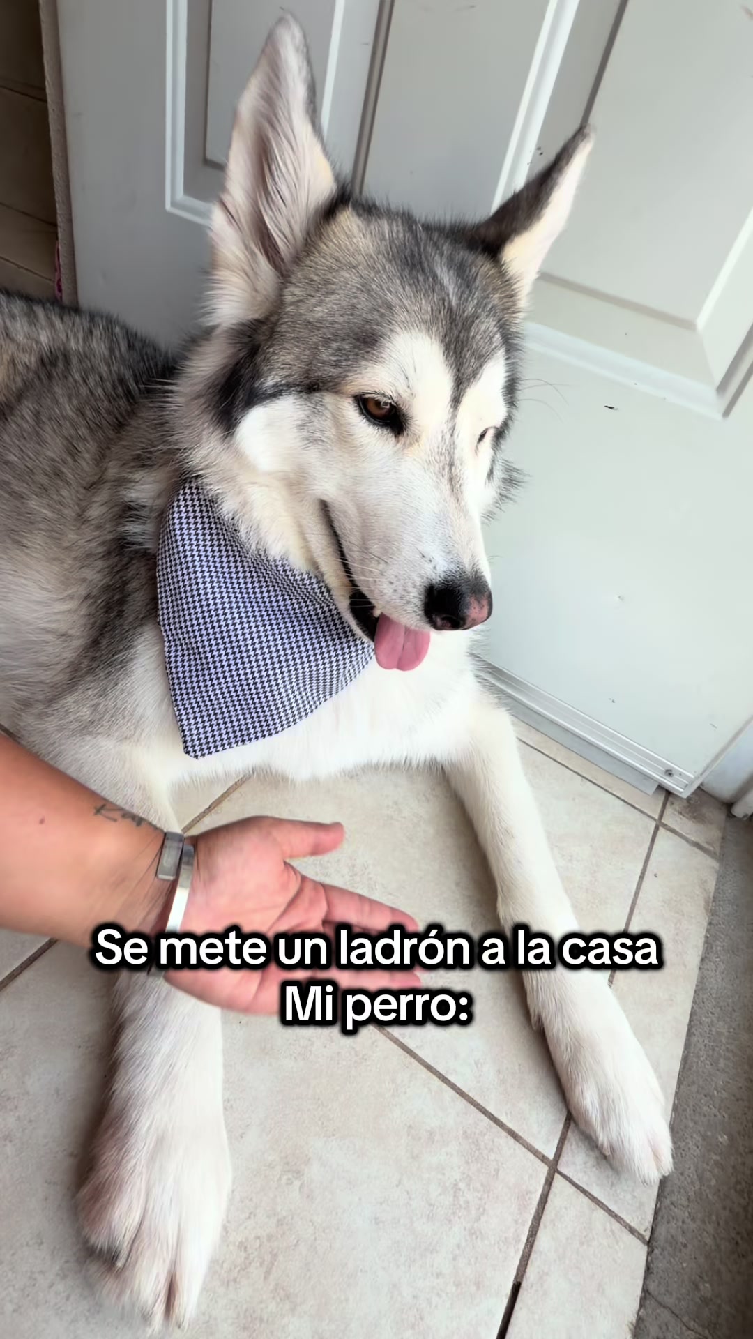 @KZ