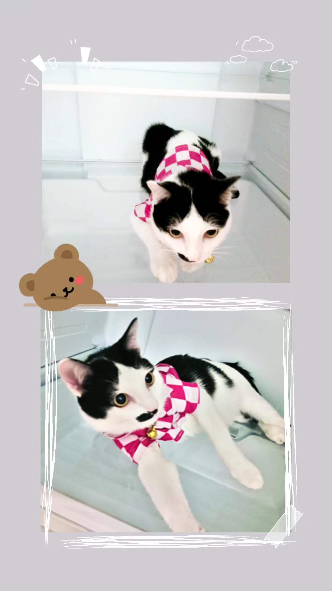 @มังคุด