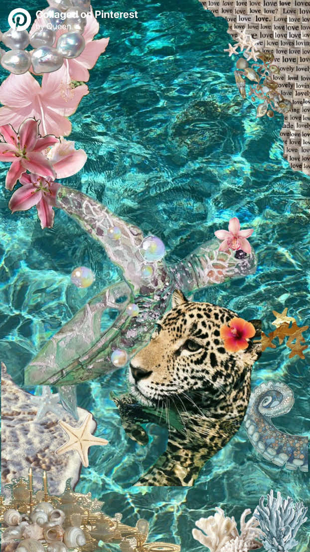 @𓂅𓍼𝒵𝒶𝓎’𝓈 𝓋𝓁𝑜𝑔𝓈𓍼 🪼