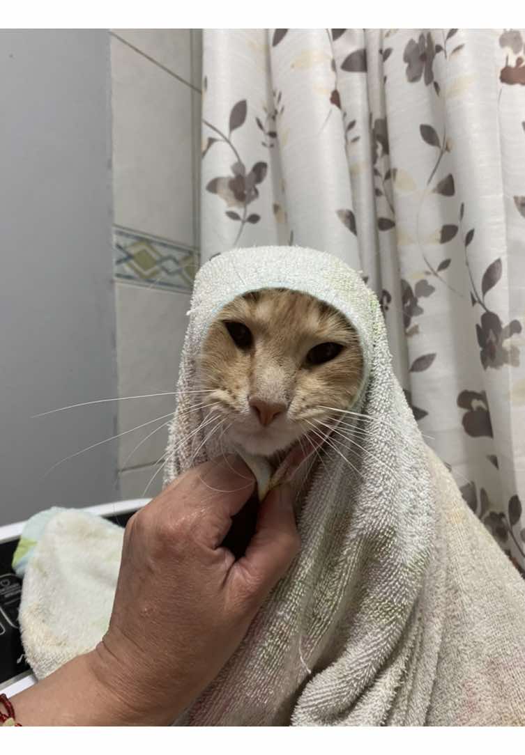 @wk.catata