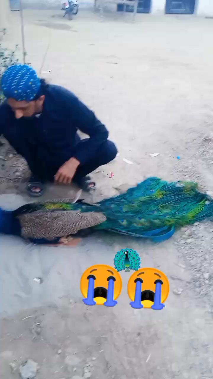 @☑️ یاعلی مدد ⛳