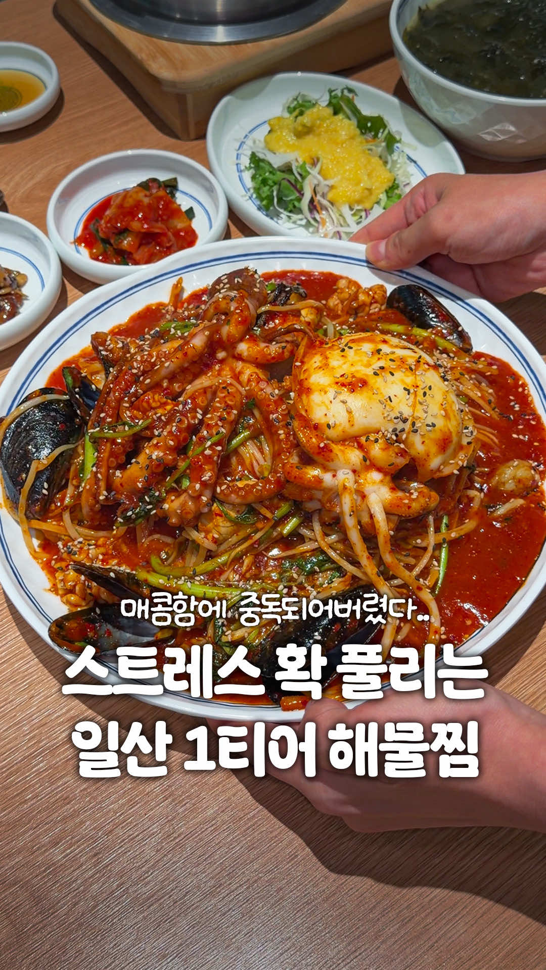 @일산갈고양