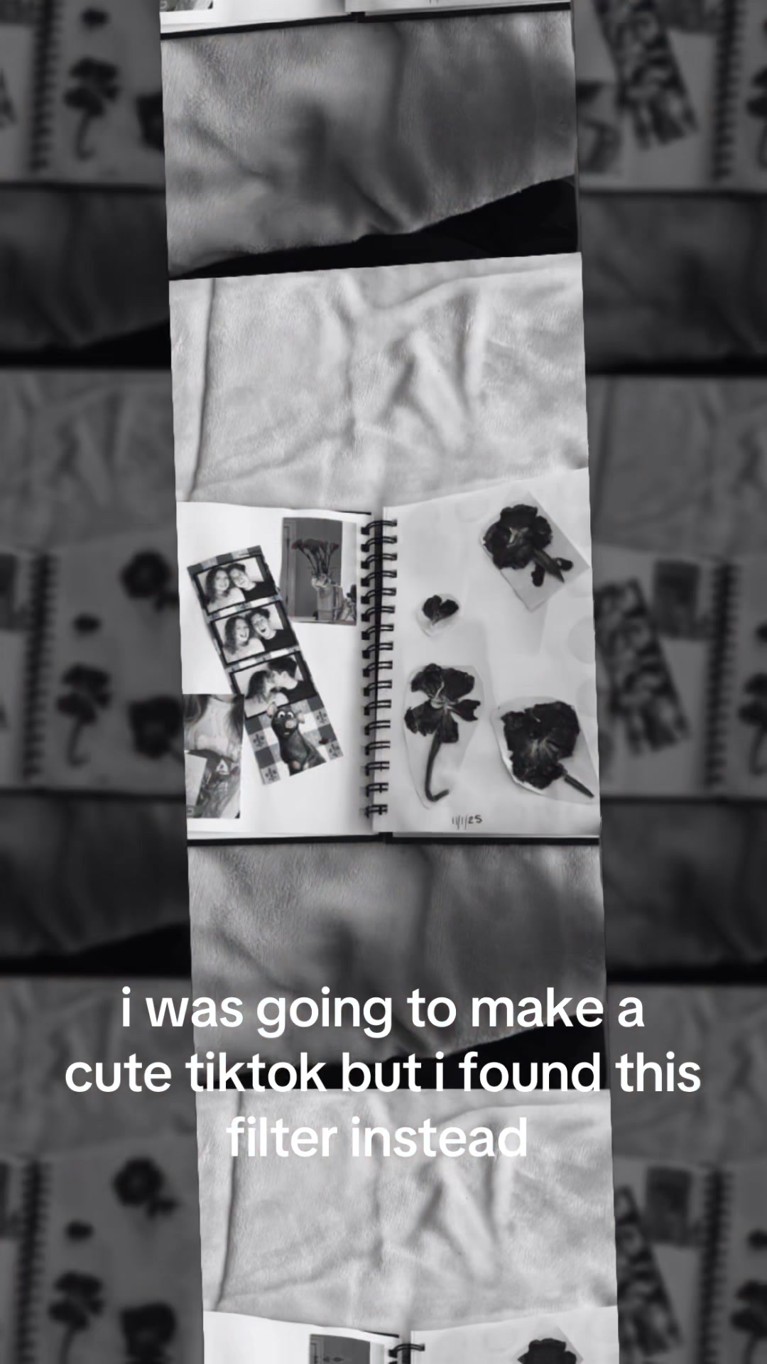 @beth 🫶🏻