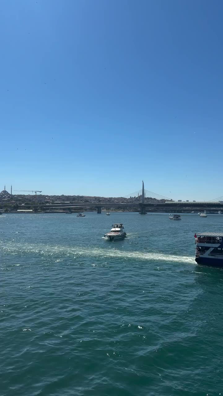 @LAZKizi❤️61💙53💚💙⚜️⚜️