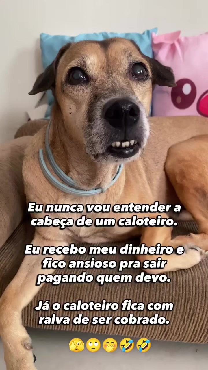@Conte&uacute;do de valor🌹