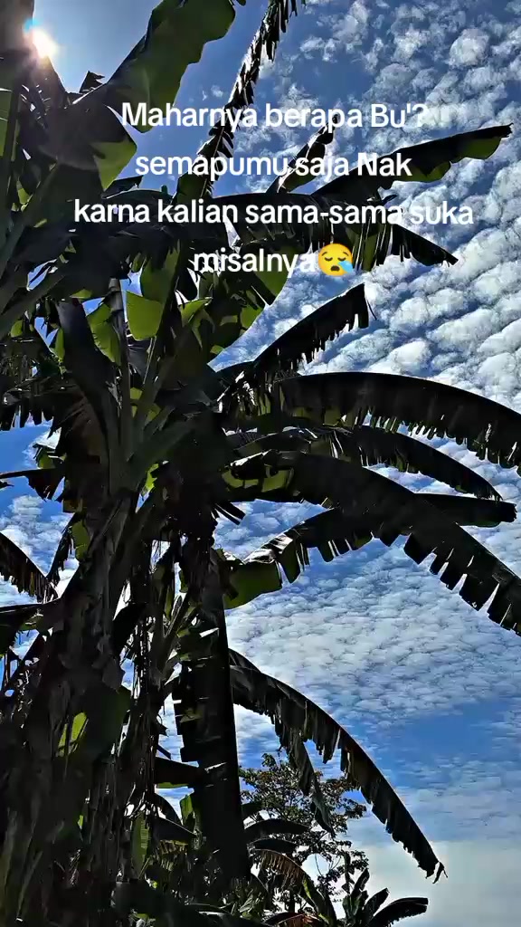@Asrul