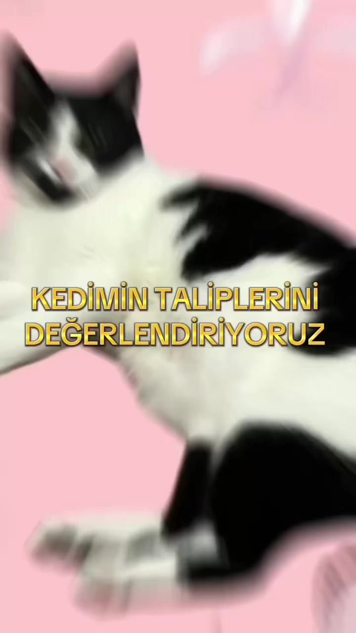 @eda ✩₊˚.⋆☾𓃠☽⋆⁺₊✧