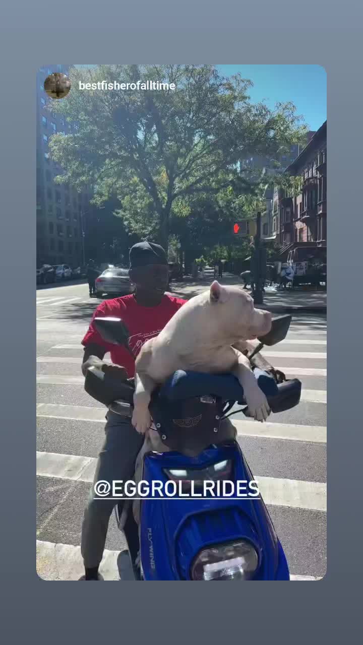 @eggrollrides