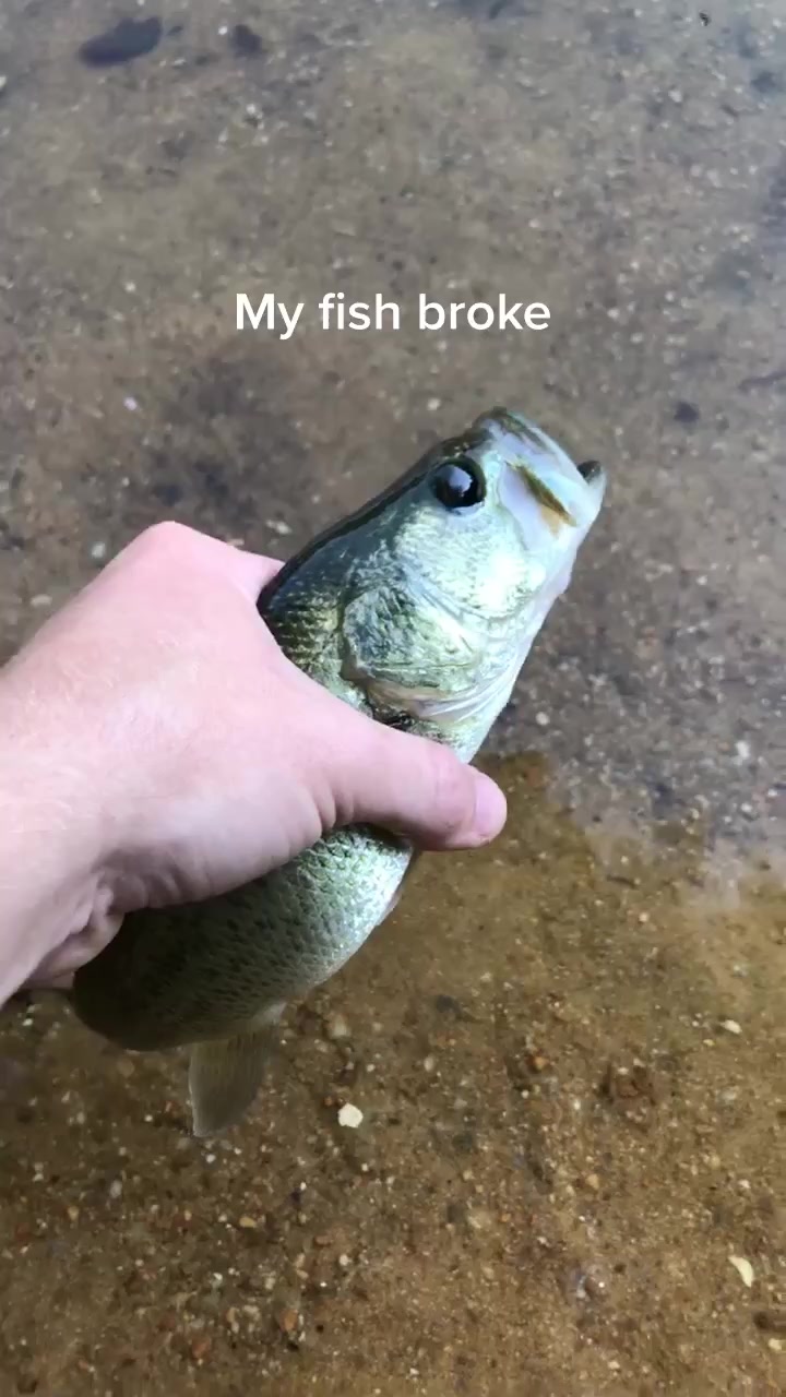 @Reese