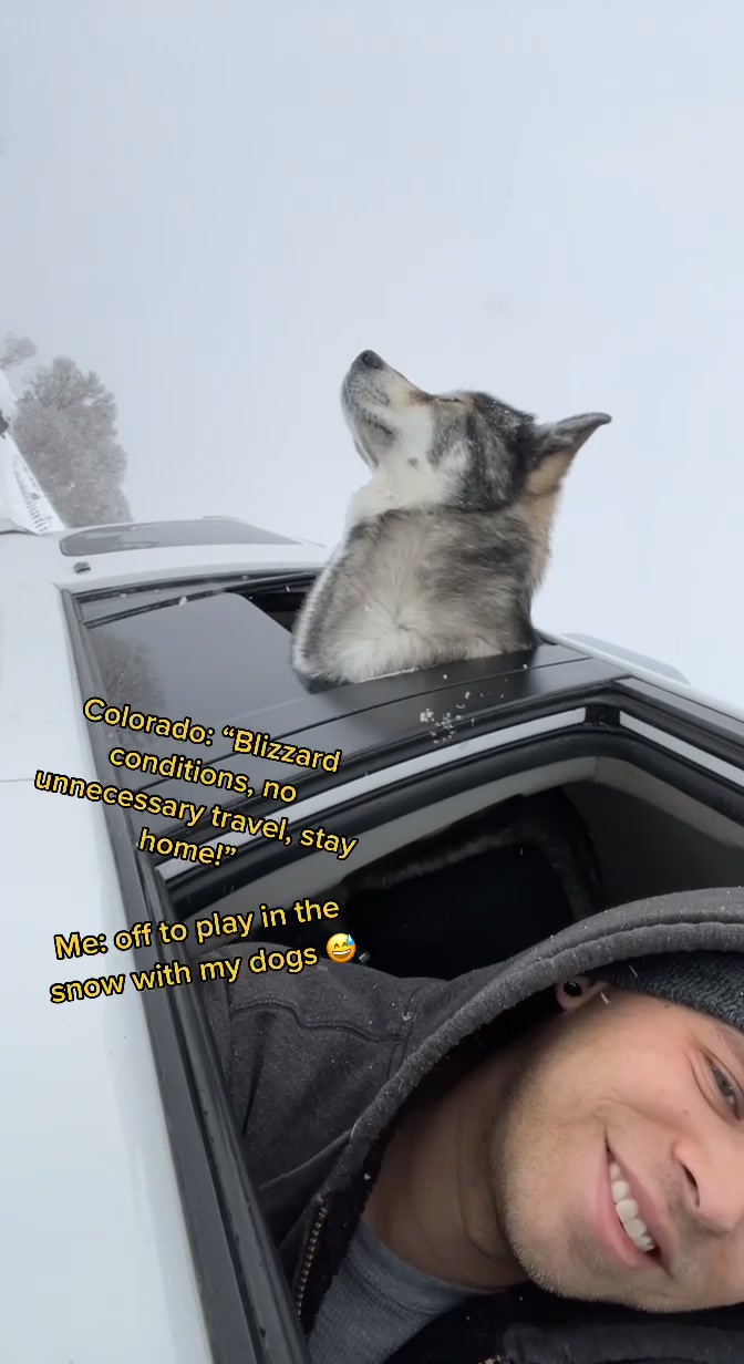 @coloradohuskies