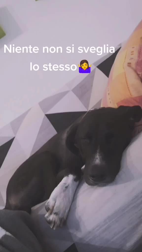 @Valentina Turco