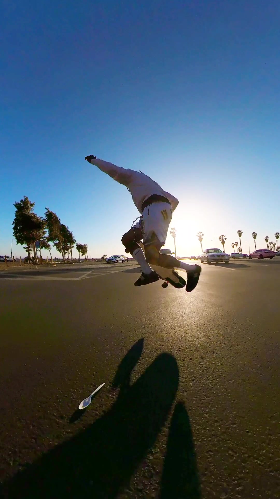 @SkateDad😎