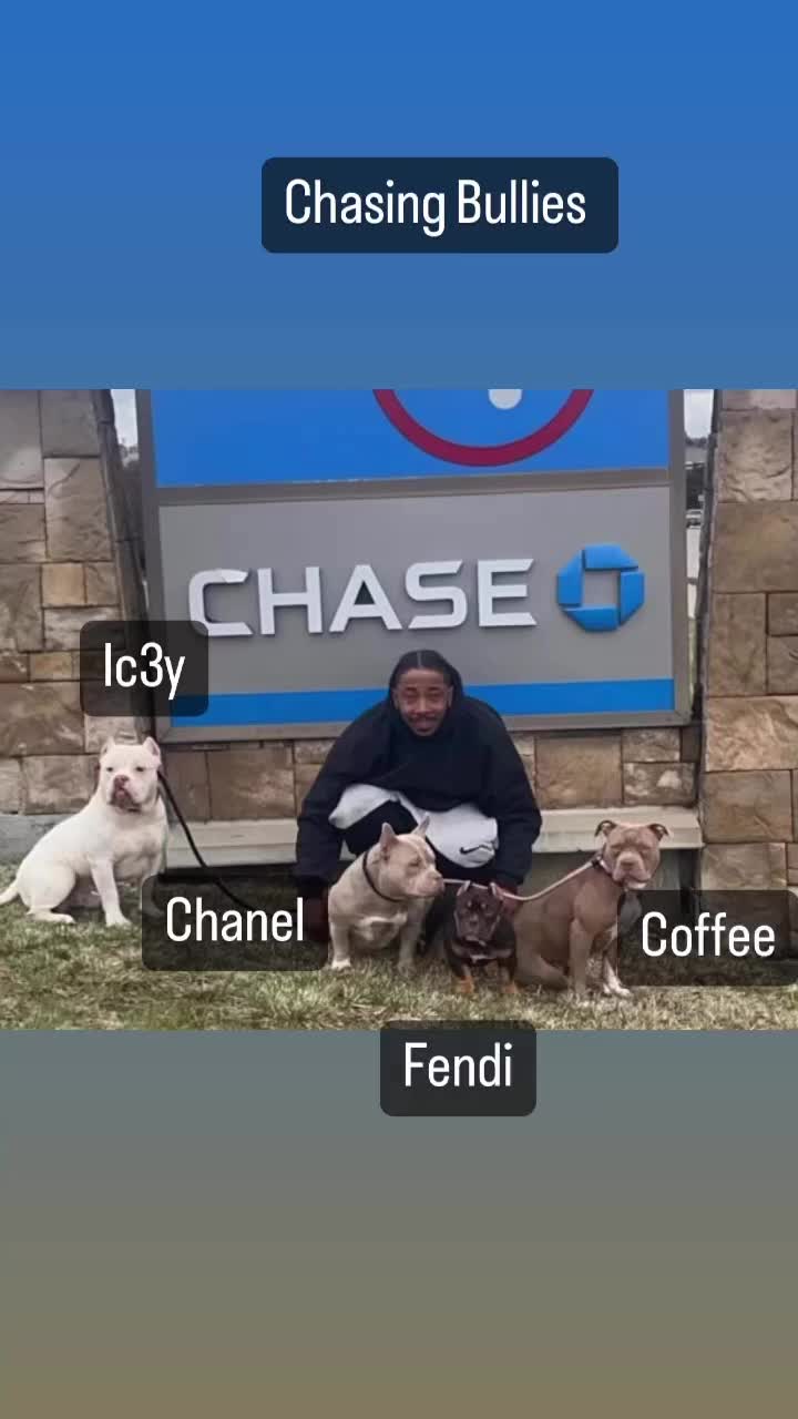 @pondsfreddy