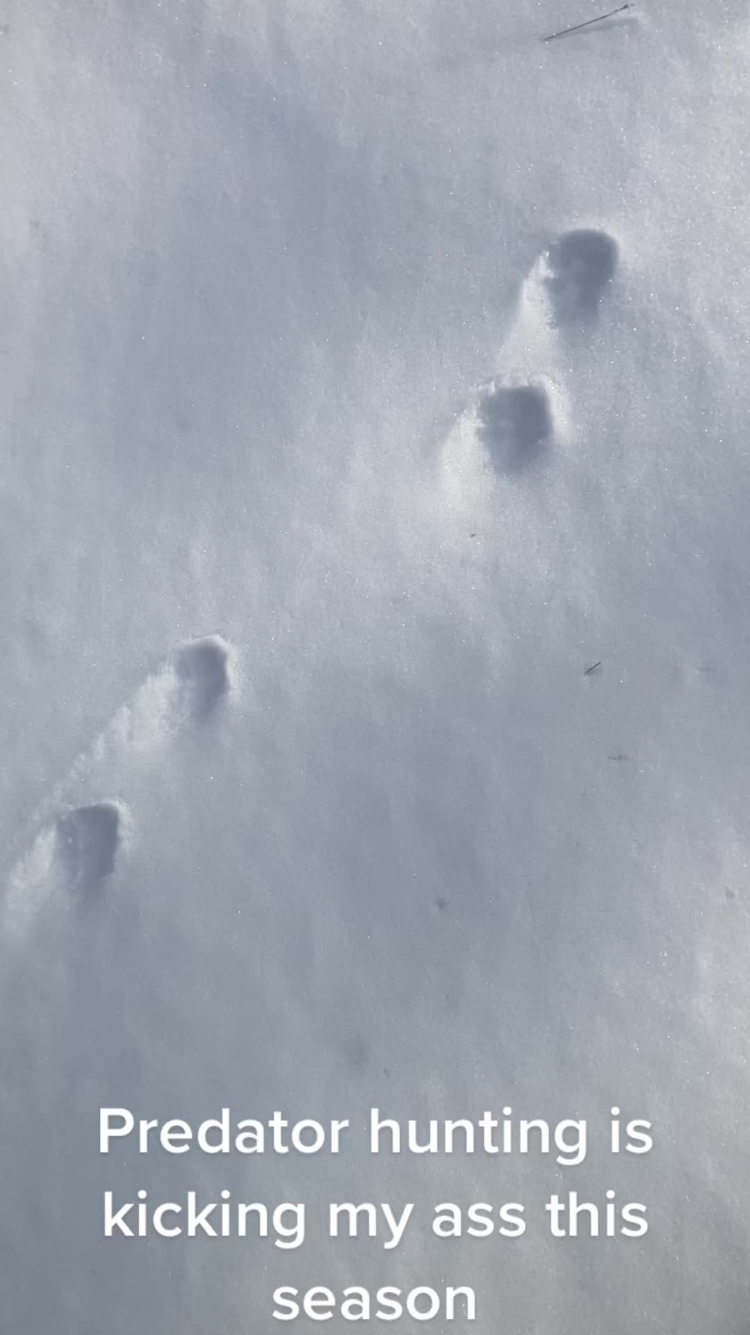 @outdoorjim