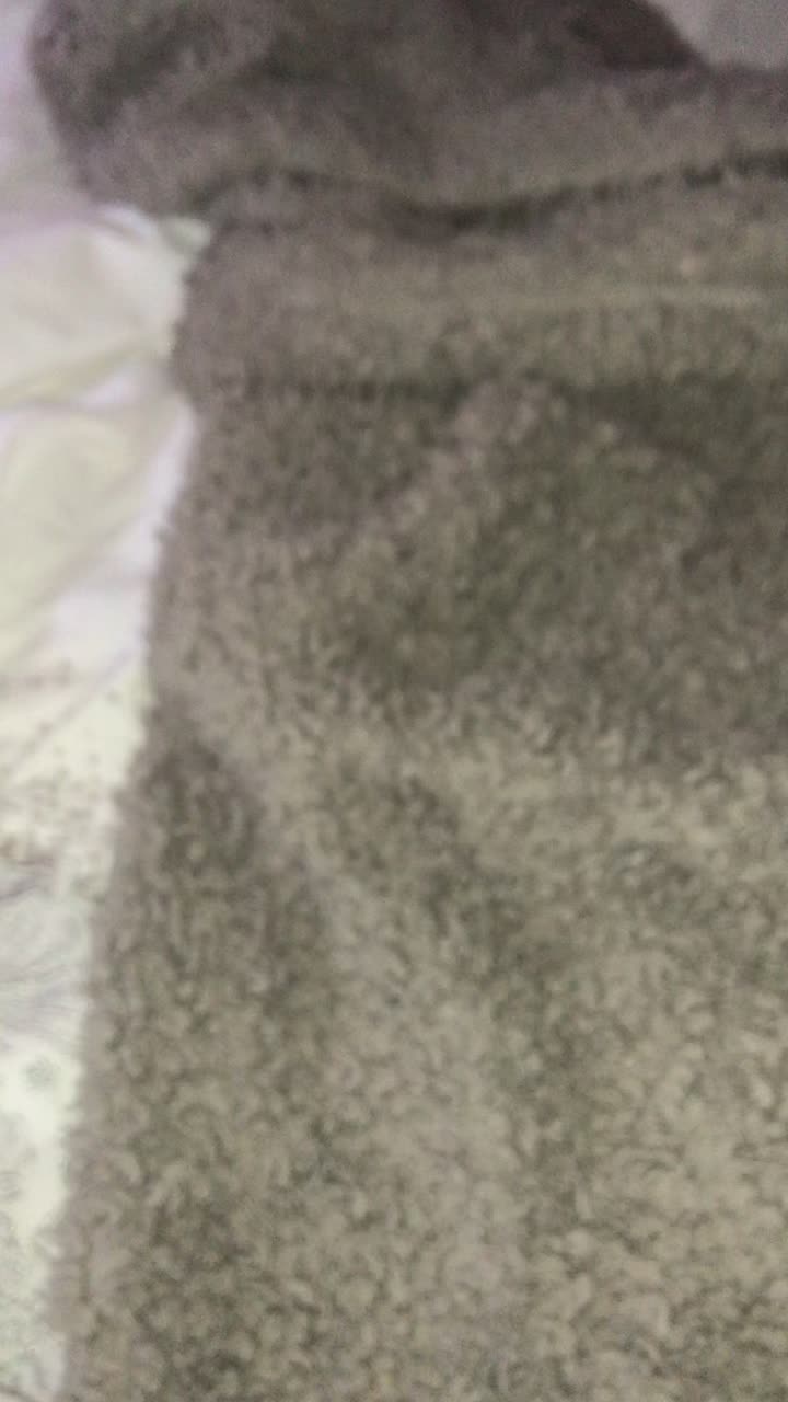 @pnutthehammyy