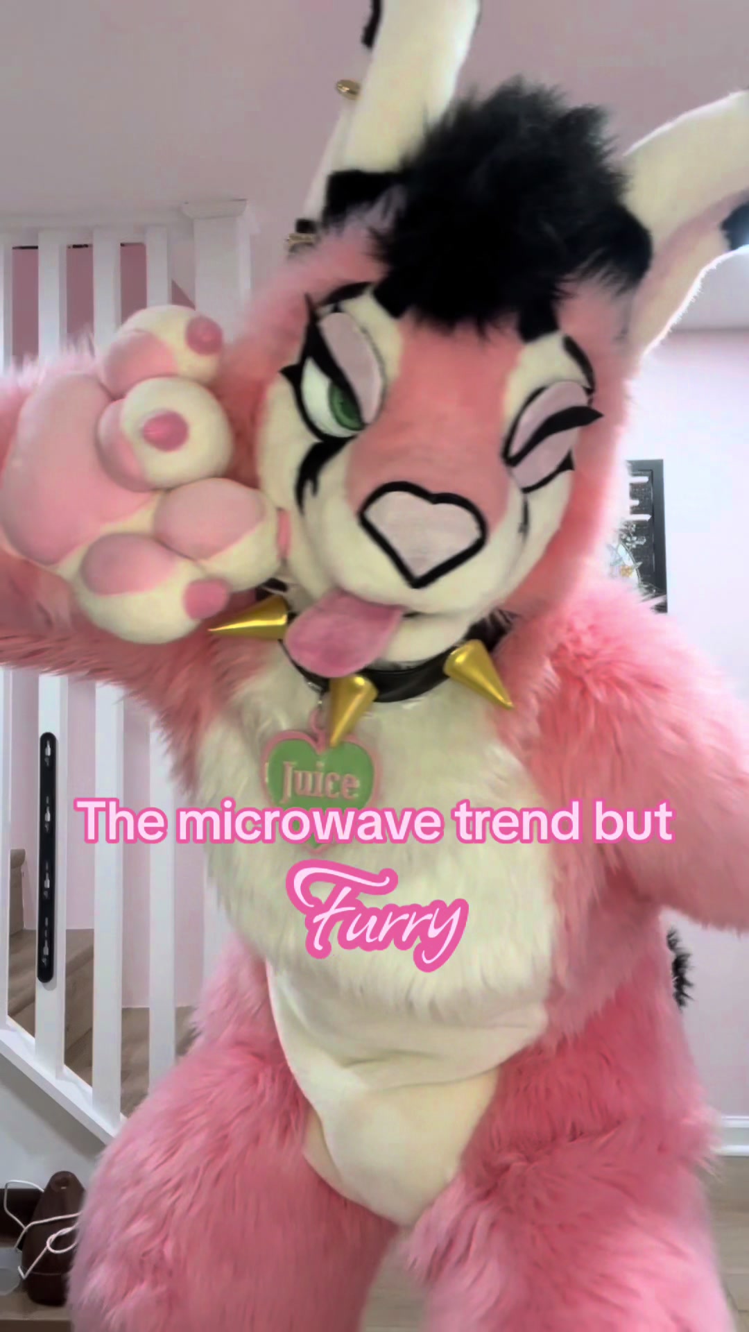 @Juice the Caracal