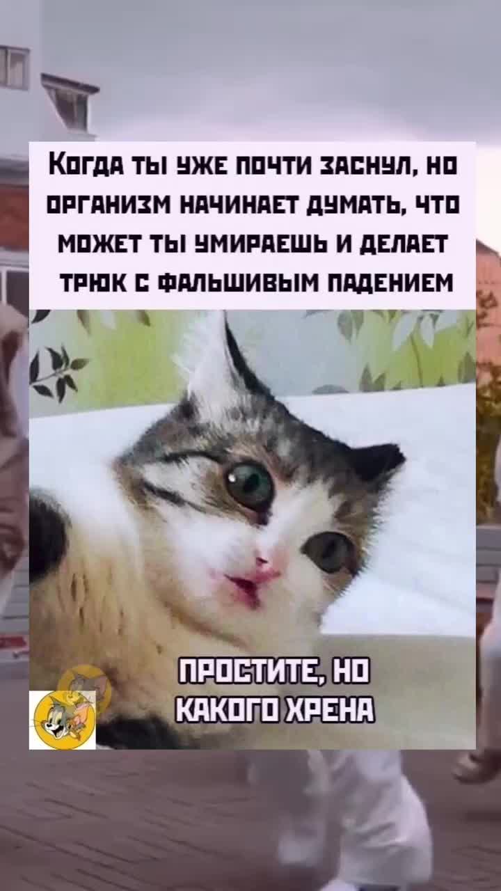 @Маконди