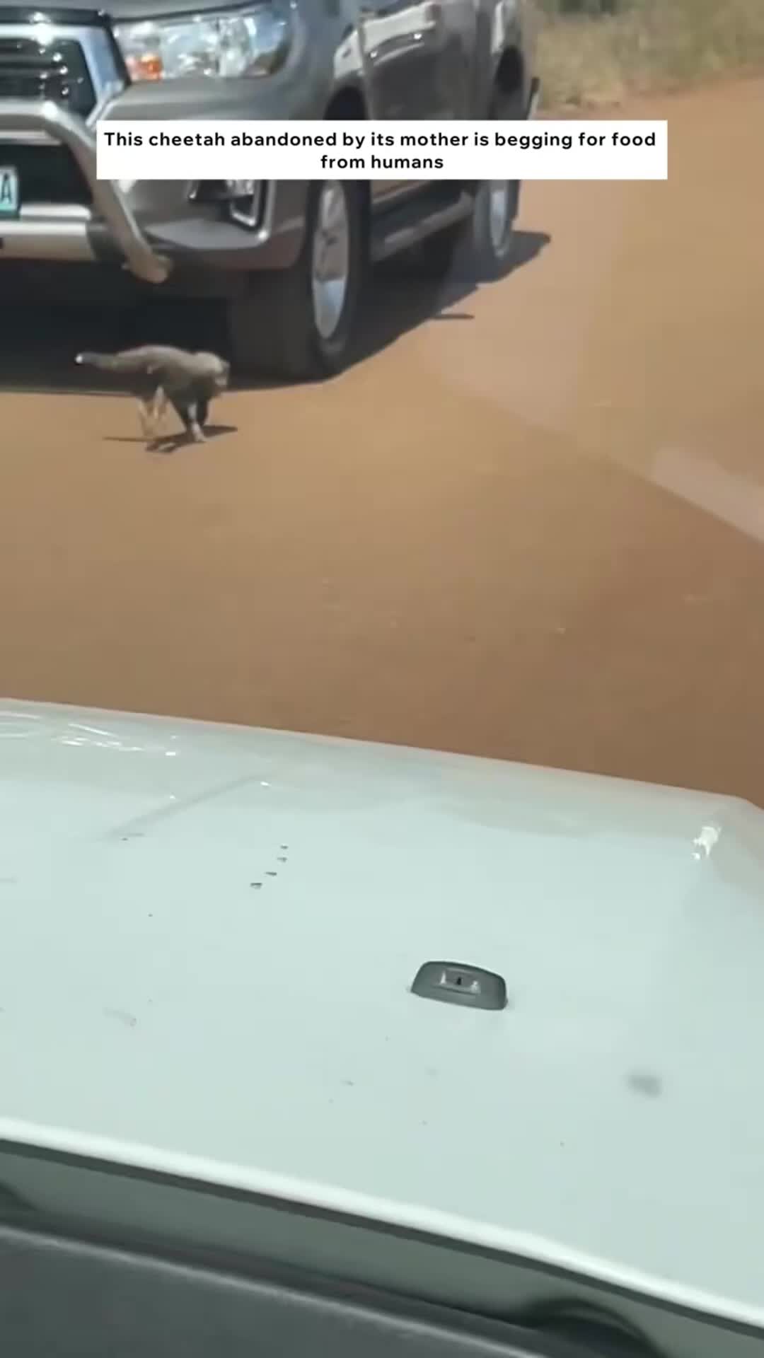 @Dynamic_rescue