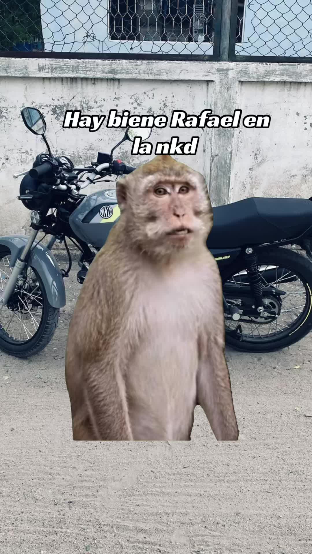 @🧃