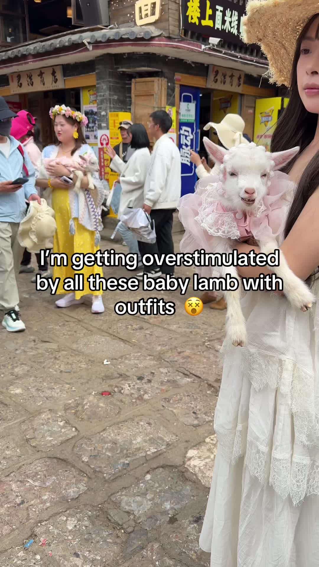 @juumai1