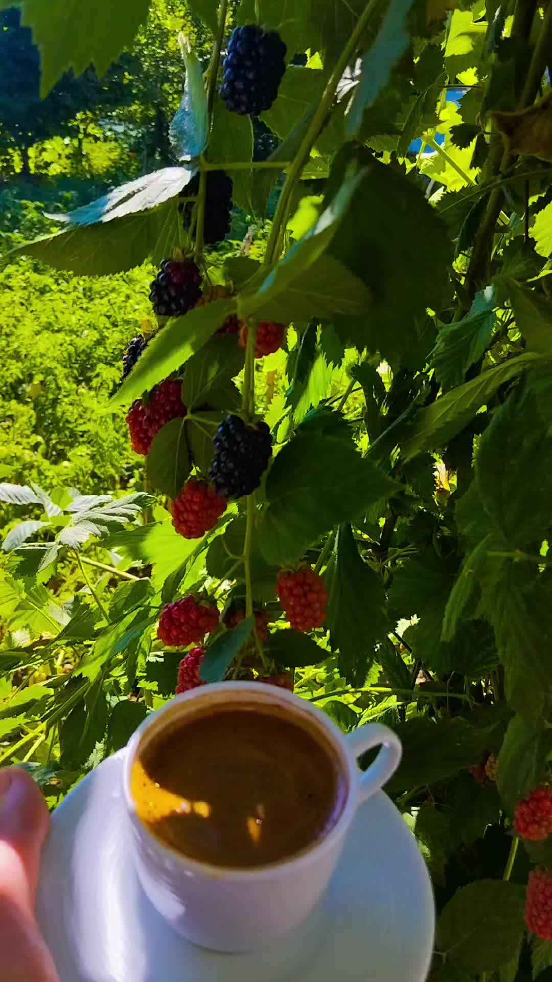 @KAHVELİMMM🦋☕