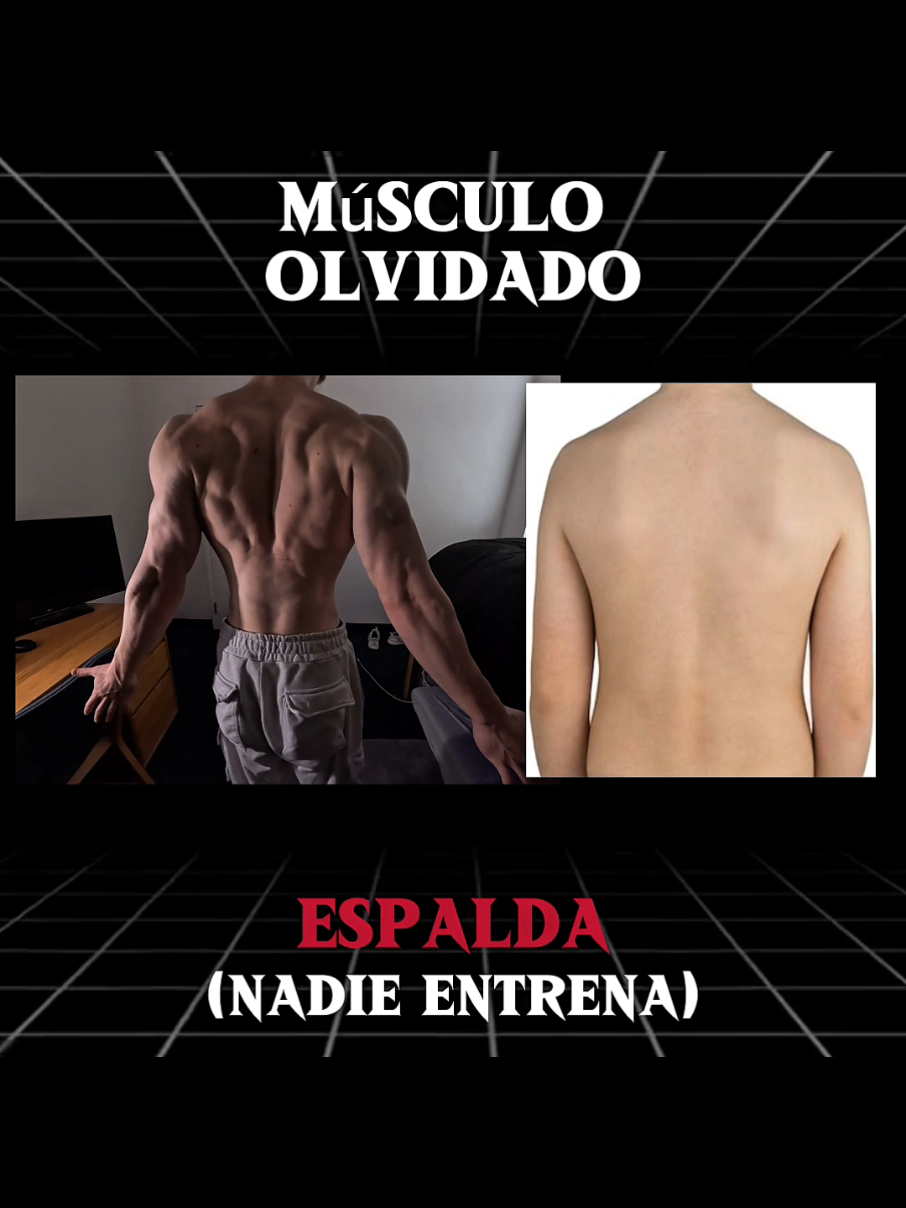 @alex_idksonew