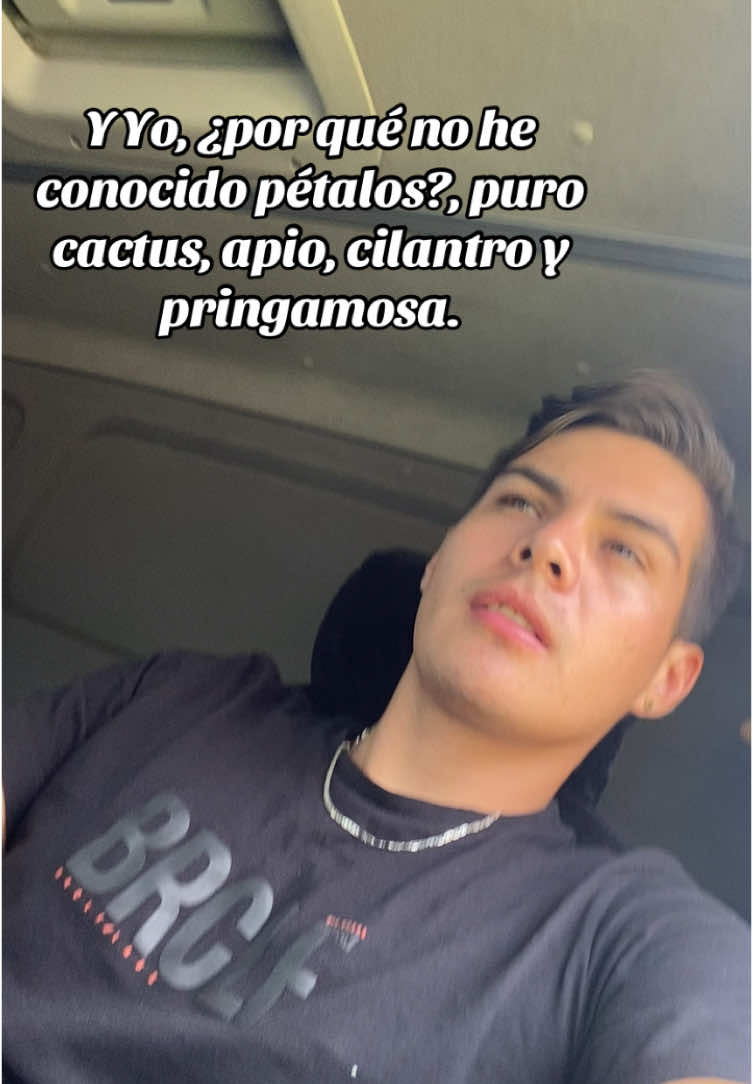 @alejandrogmz77