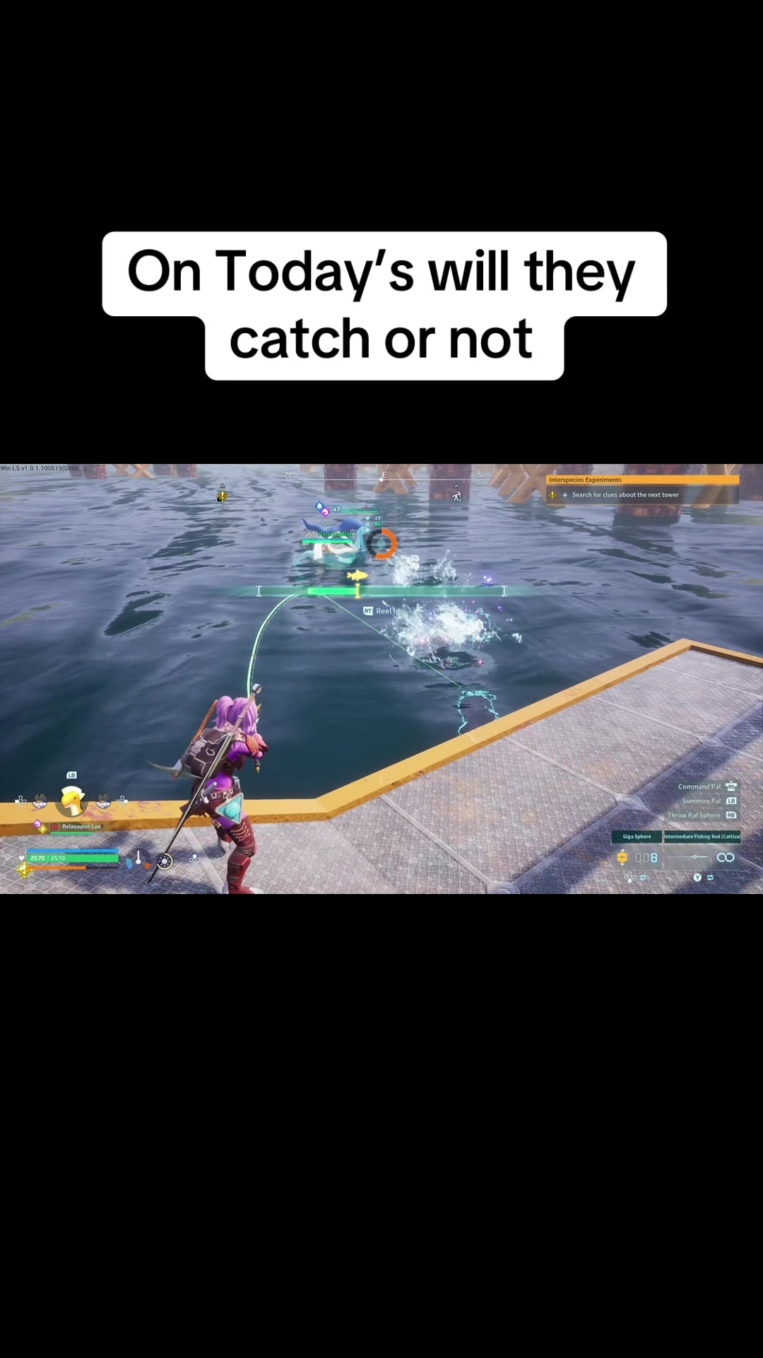 @Shofun